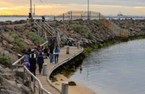 St Kilda Penguins - St Kilda